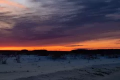 P1014818