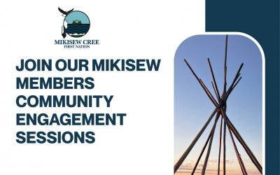 Community Engagement Sessions